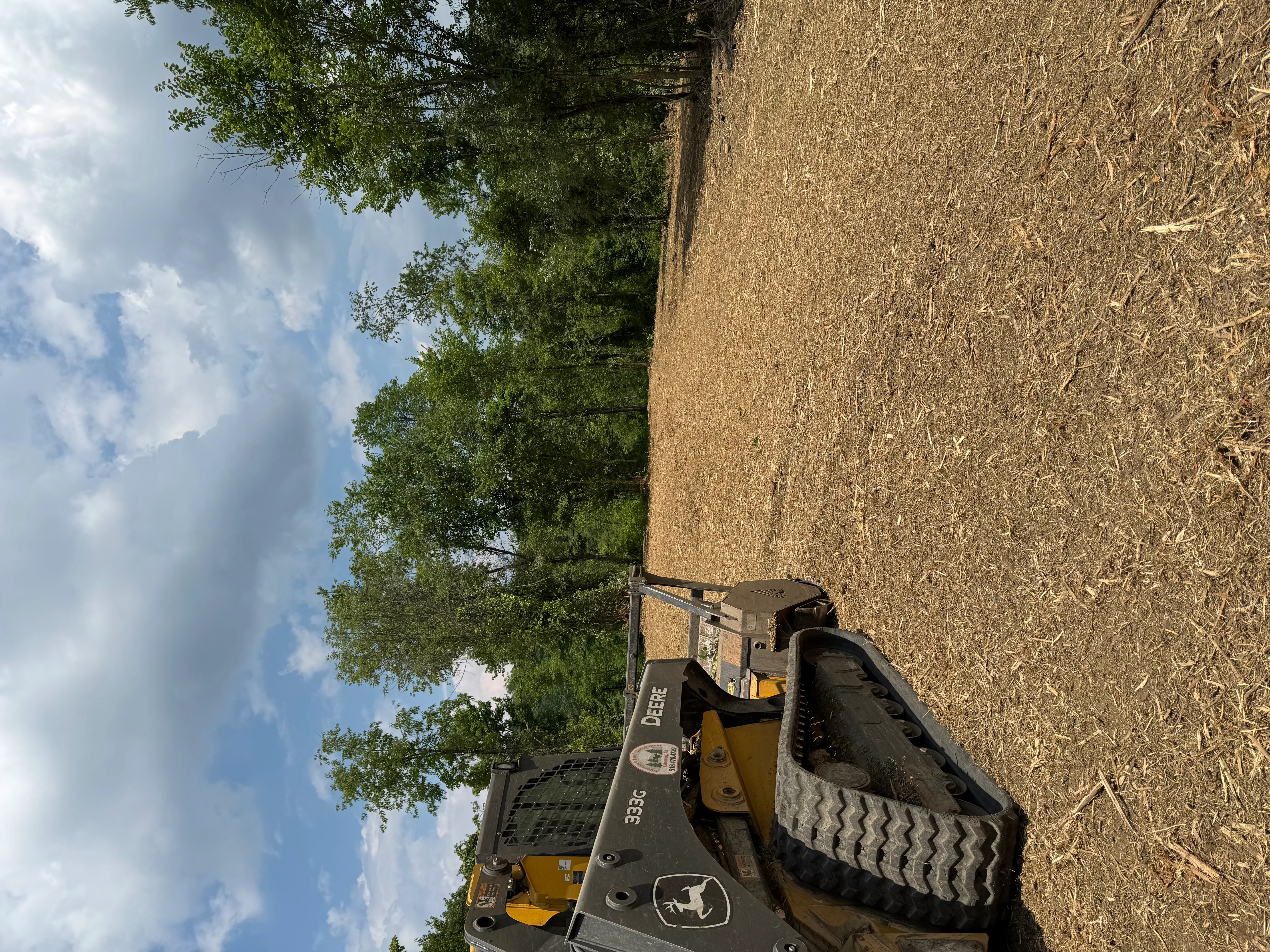 John Deere skid steer loader clearing overgrown land with trees and brush removal