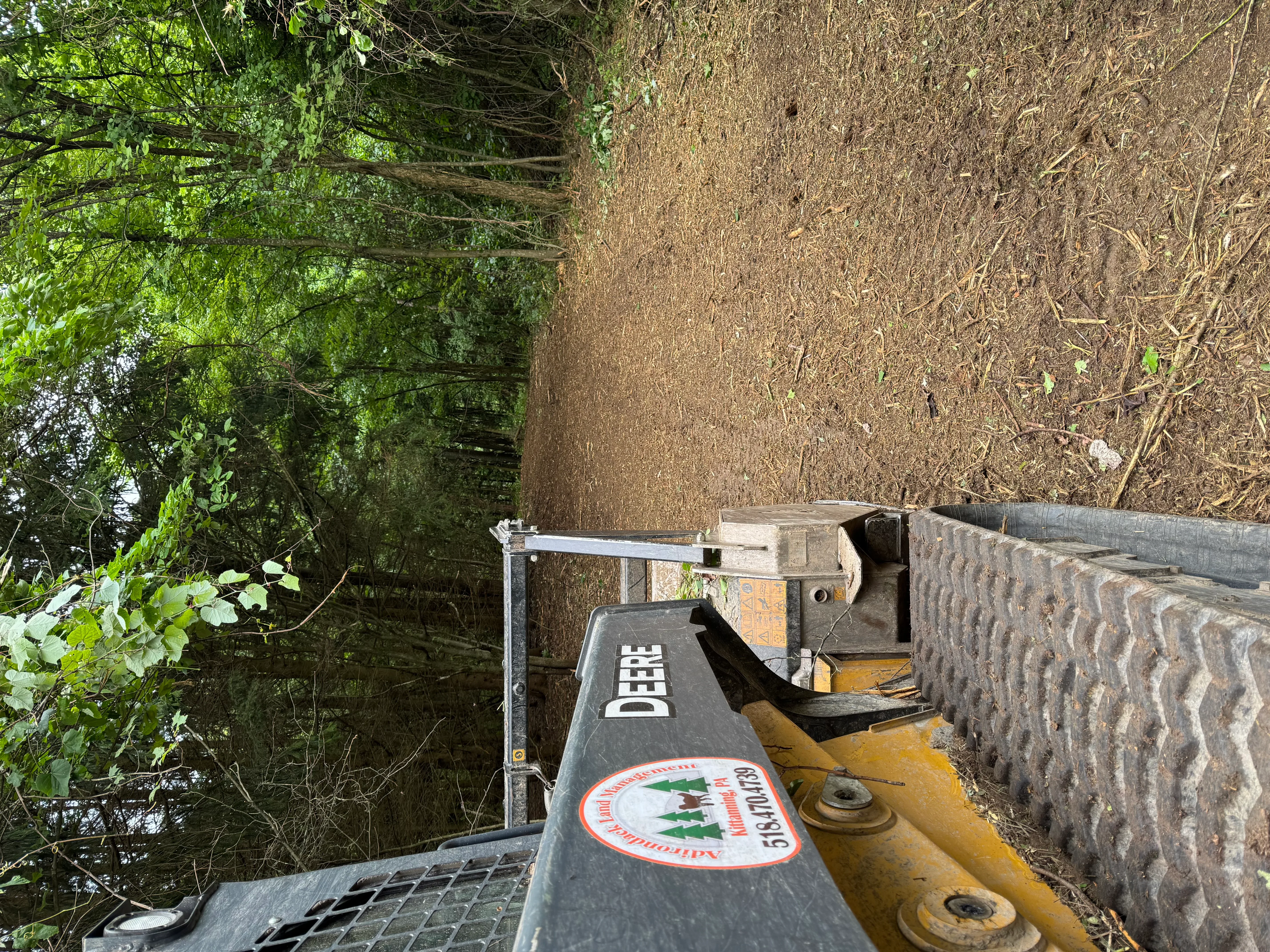 Heavy equipment clearing dense overgrowth and brush from a residential property