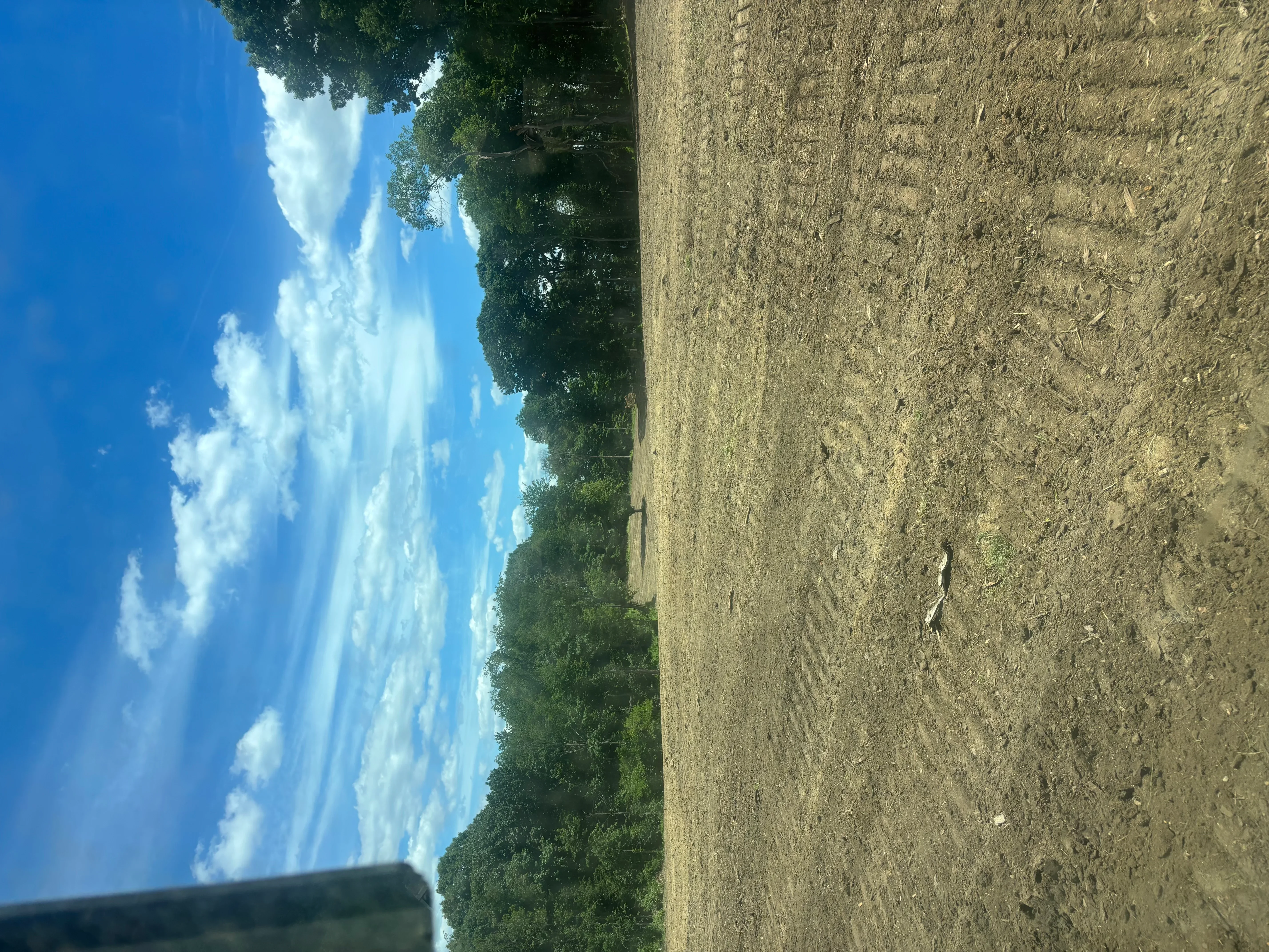 Cleared land with freshly graded soil and tree line along property edge